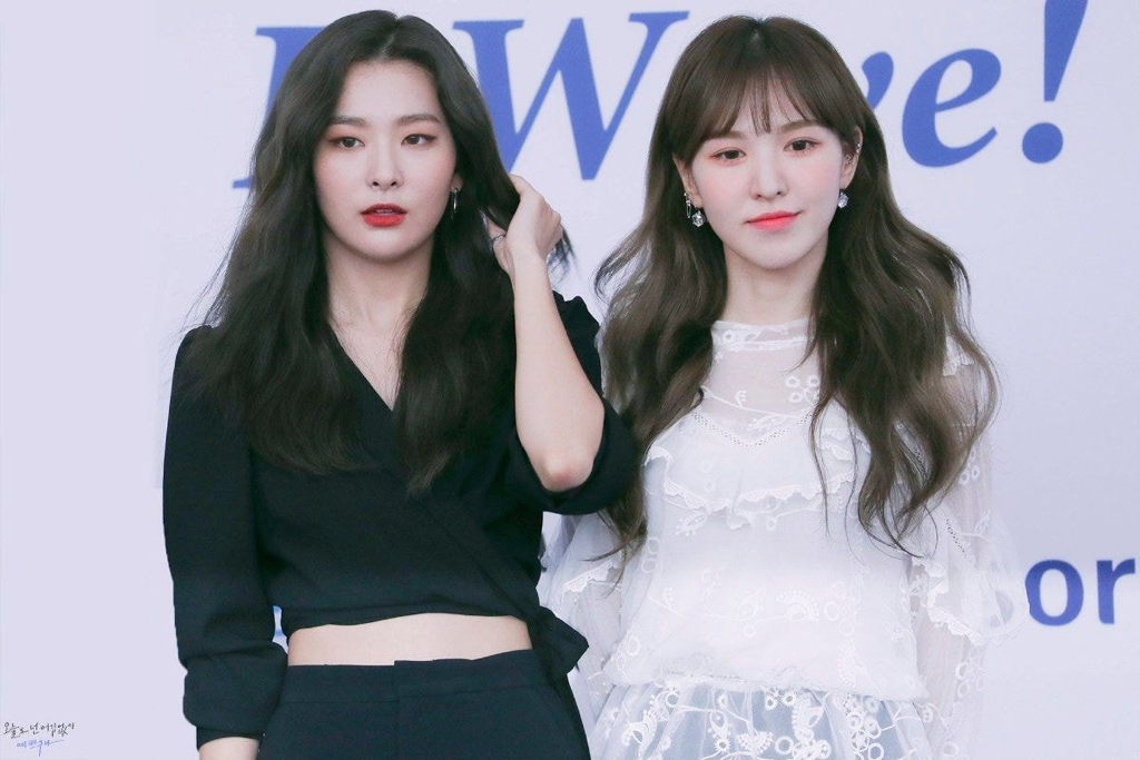 레드벨벳 내 육아난이도 최상과 최하를 맡고있는 멤버 | 인스티즈
