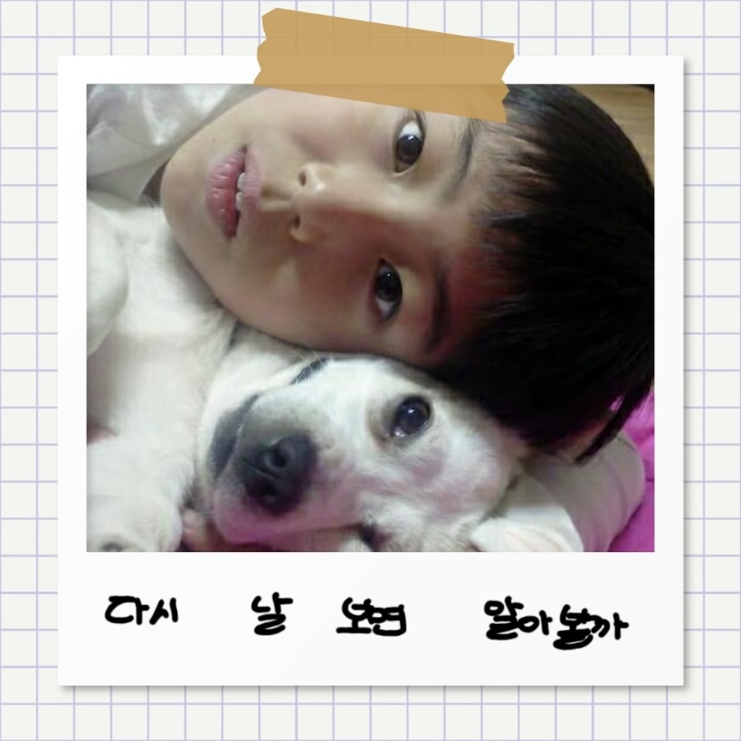 강아지별로 떠난 전 엑스원 이은상 반려견 웅이 | 인스티즈