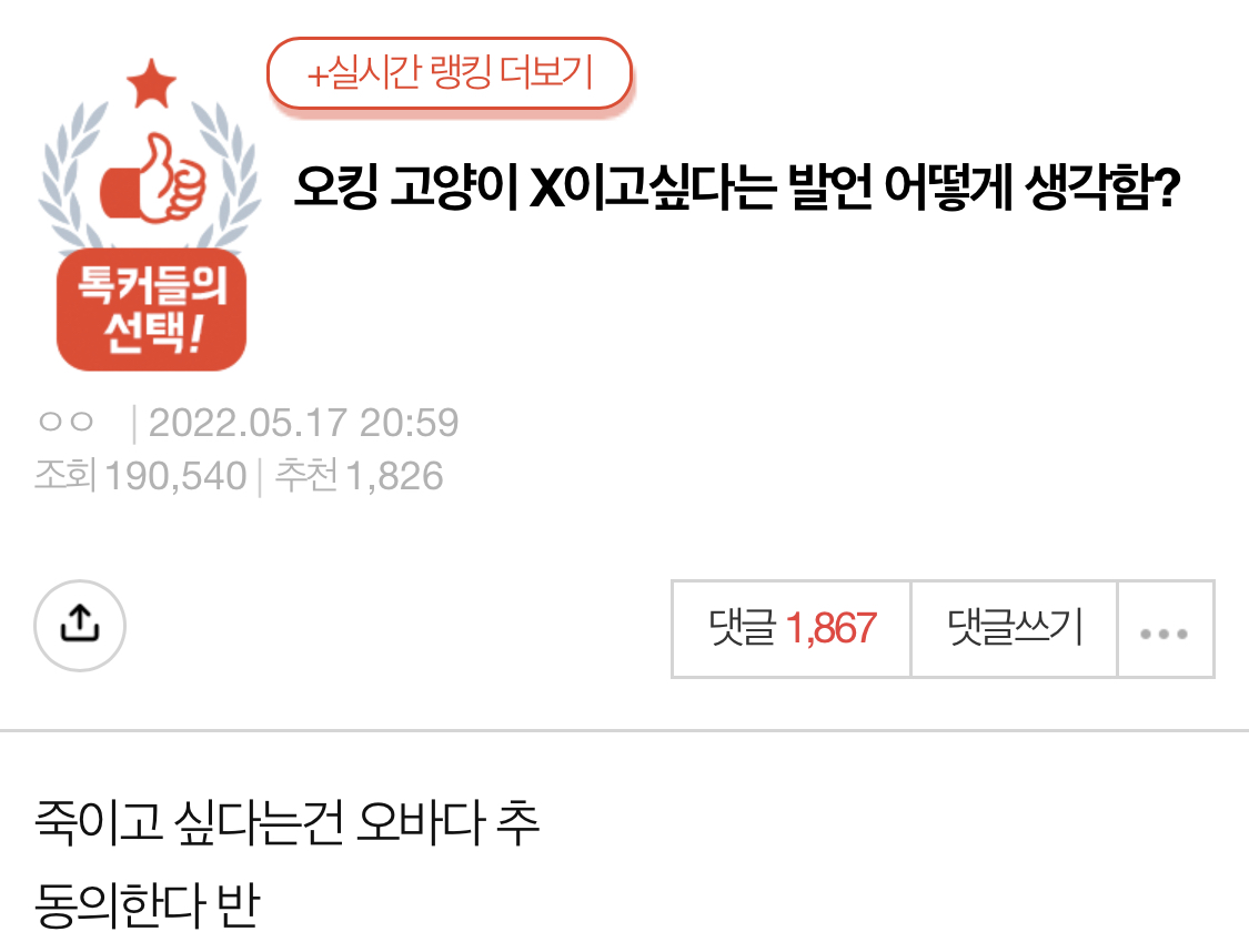 오킹 고양이 X이고싶다는 발언 어떻게 생각함? | 인스티즈