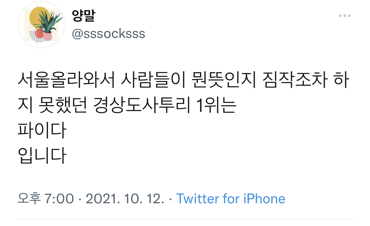 서울 사람들은 모르는 파이다뜻 | 인스티즈