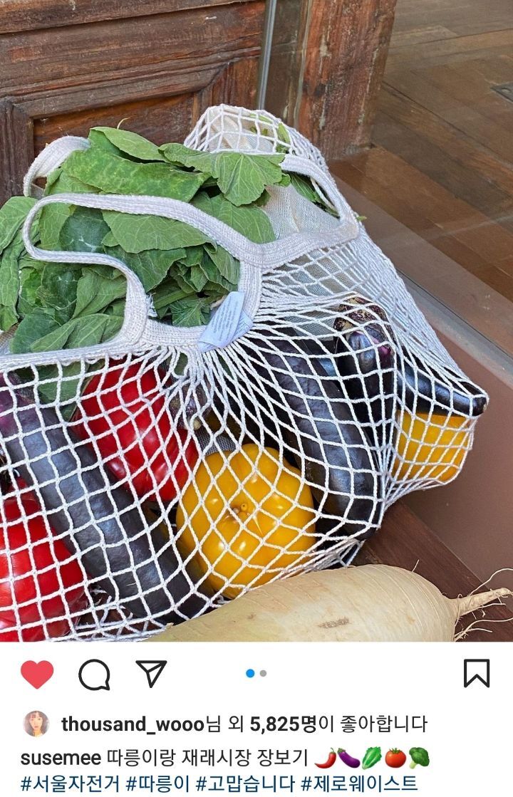 선한 영향력을 보여주는 배우 임세미의 인스타 피드 | 인스티즈