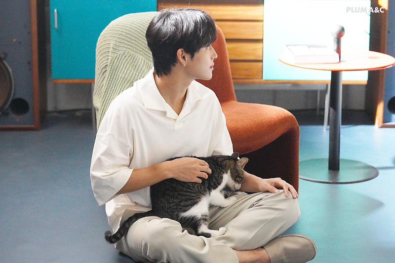담당자 사심이 느껴지는 배우의 네이버포스트(feat.고양이) | 인스티즈