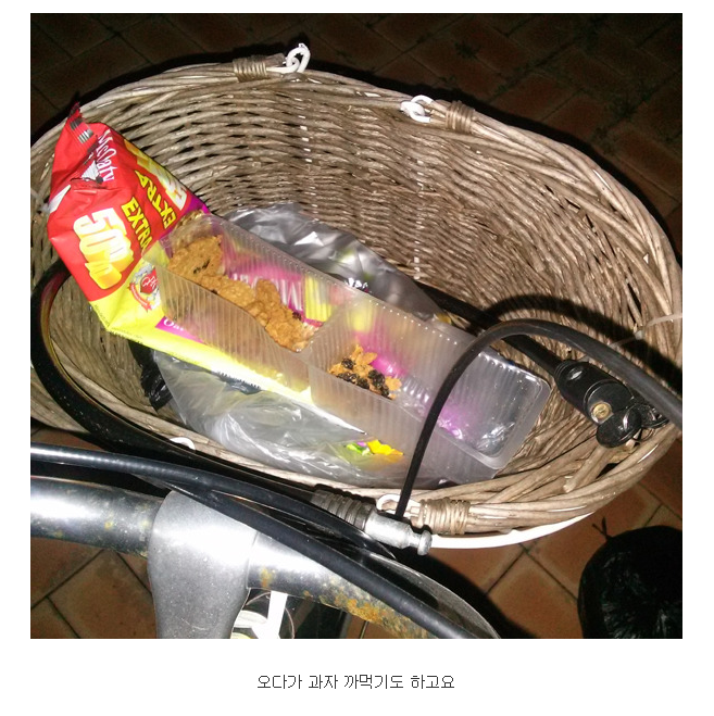 살 빼려고 자전거 샀는데… | 인스티즈