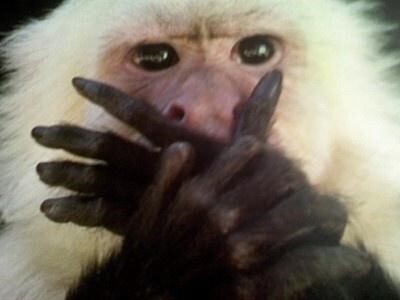 한결같이 팬 편지 인증 해 주는 아이돌 | 인스티즈