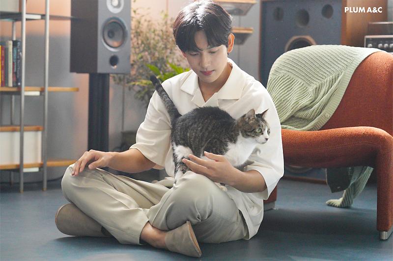 담당자 사심이 느껴지는 배우의 네이버포스트(feat.고양이) | 인스티즈