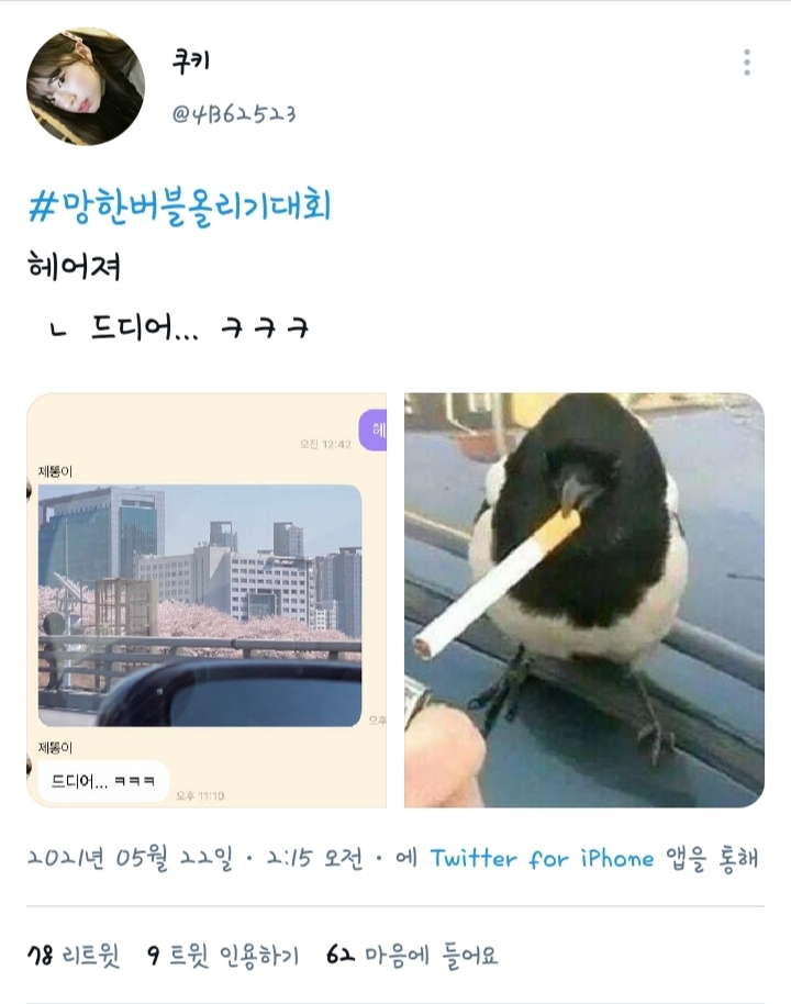 추추추가) 트위터에서 갑자기 벌어진 망한 버블 올리기 대란.twt | 인스티즈