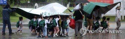 돗자리 우산 | 인스티즈