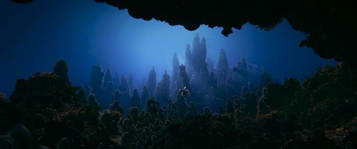 디즈니 인어공주(2023) Official Trailer 8K영상 캡쳐 | 인스티즈