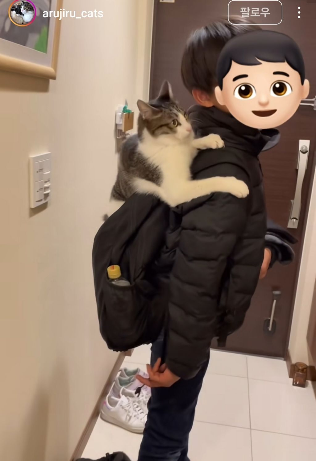 초등학교에 고양이 데려가도 된다 vs 안된다 | 인스티즈