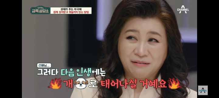 [금쪽상담소] 왜 나는 매번 불편할까? 자극에 쉽게 상처받는 사람들 특징 | 인스티즈