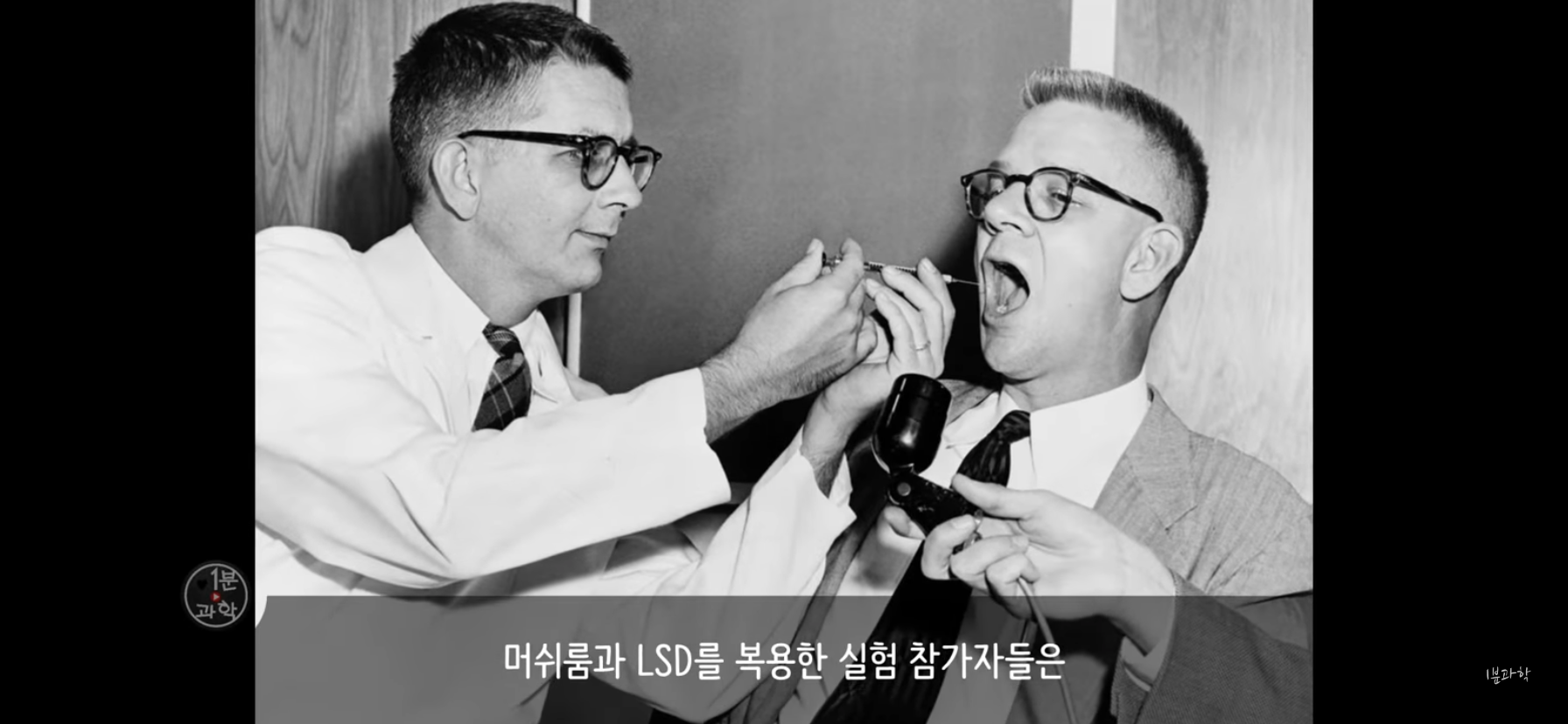 전세계에서 금지된 마약 | 인스티즈