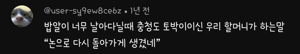 충청도 사투리 영상에 달린 웃긴 댓글 모음 | 인스티즈