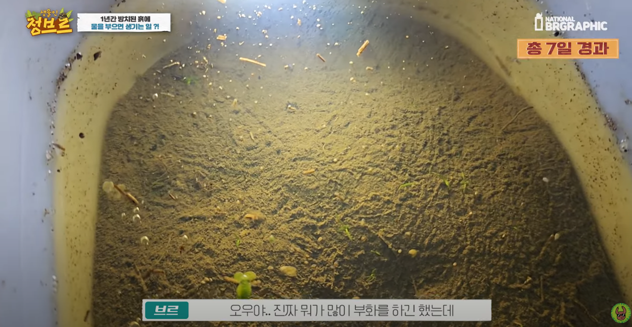 죽은 땅에 물을 부었는데 생명체들이 부화함 개신기 (지진이나 홍수가 일어나는 이유일까? 🤔) | 인스티즈