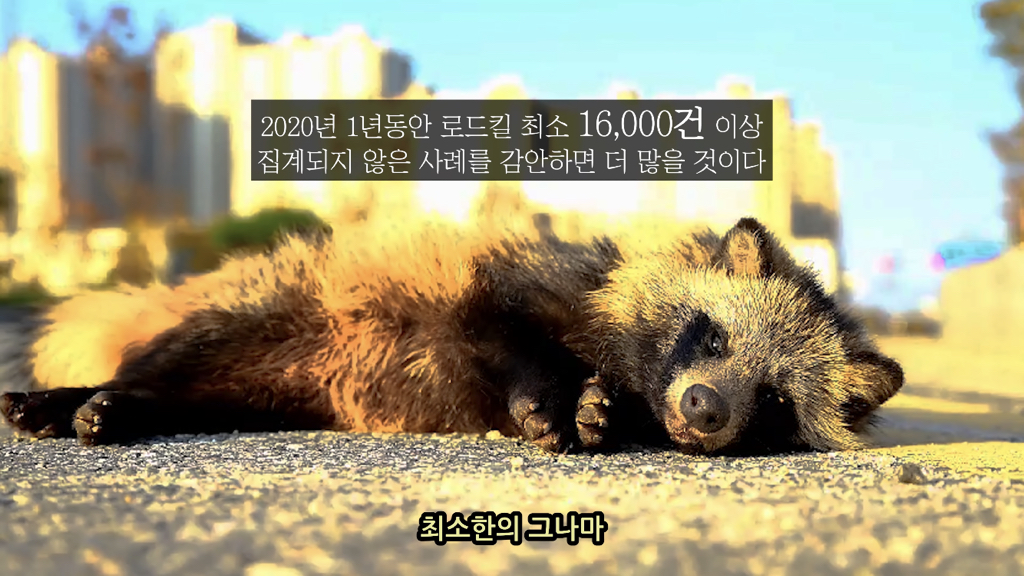 고속도로에 있는 생태통로 진짜 야생동물이 다닐까? | 인스티즈