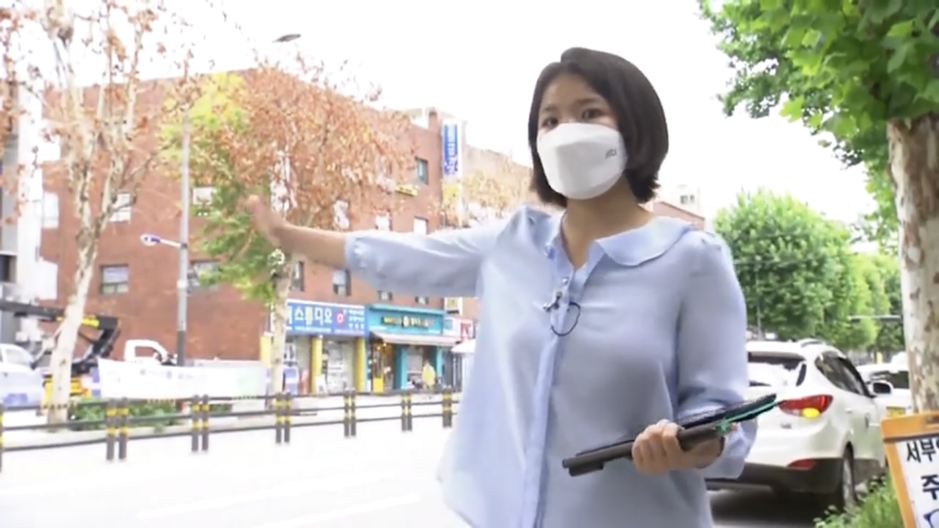 두 달 사이 말라죽은 수령 40년 가로수, 대체 무슨 일? | 인스티즈