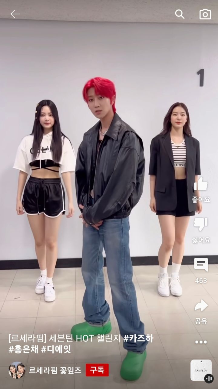 남돌&여돌 조합 챌린지 모음.jpg | 인스티즈