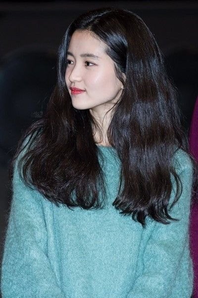 본인 피셜 머리숱 진짜 많다는 여자 연예인 | 인스티즈