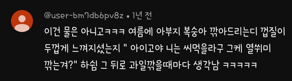 충청도 사투리 영상에 달린 웃긴 댓글 모음 | 인스티즈