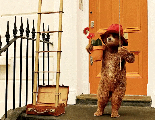 약 7년만에 돌아오는 패딩턴 세번째 이야기 패딩턴 인 페루 예고편 공개🍊🐻 | 인스티즈