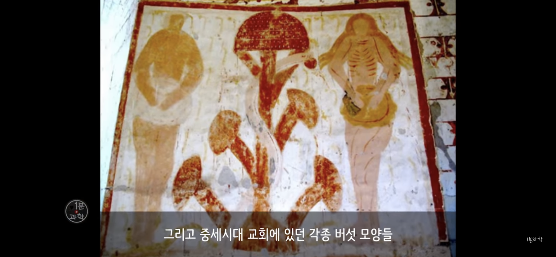 전세계에서 금지된 마약 | 인스티즈