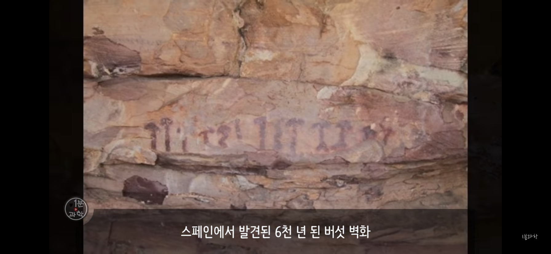 전세계에서 금지된 마약 | 인스티즈