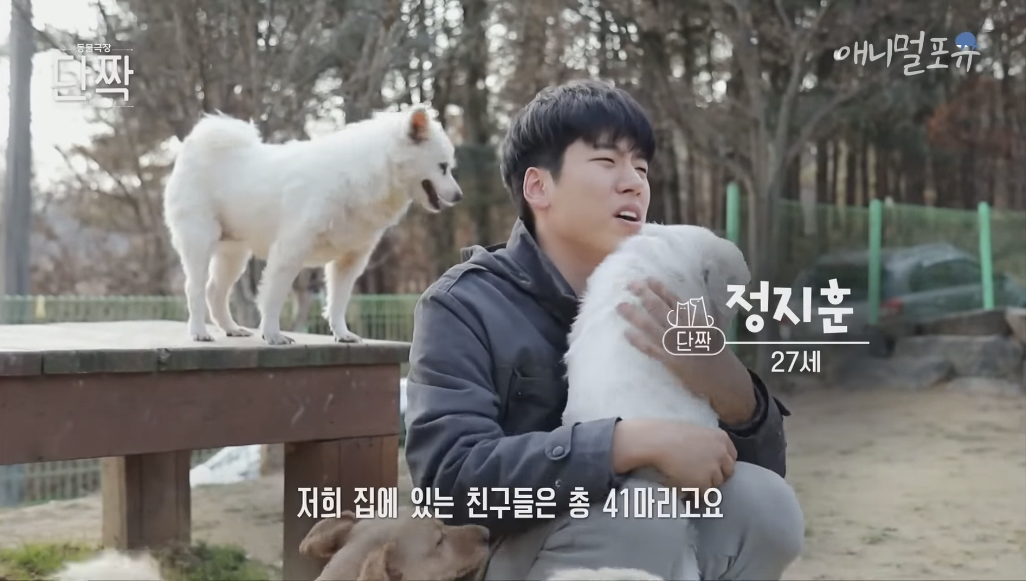 [단짝] 상처 가득한 41마리 유기견의 가족이 되어준 사람들 | 인스티즈