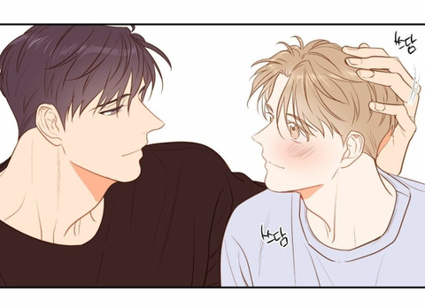 [BL] 연하공 VS 연상공 VS 동갑내기 평생 하나만 볼 수 있다면? | 인스티즈