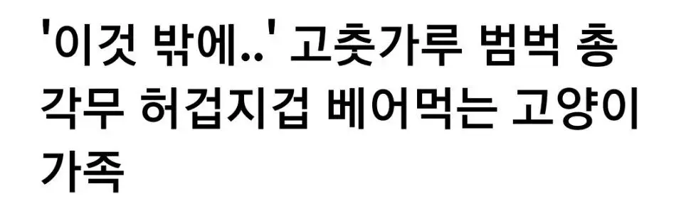 '이것 밖에..' 고춧가루 범벅 총각무 허겁지겁 베어먹는 고양이 가족 | 인스티즈
