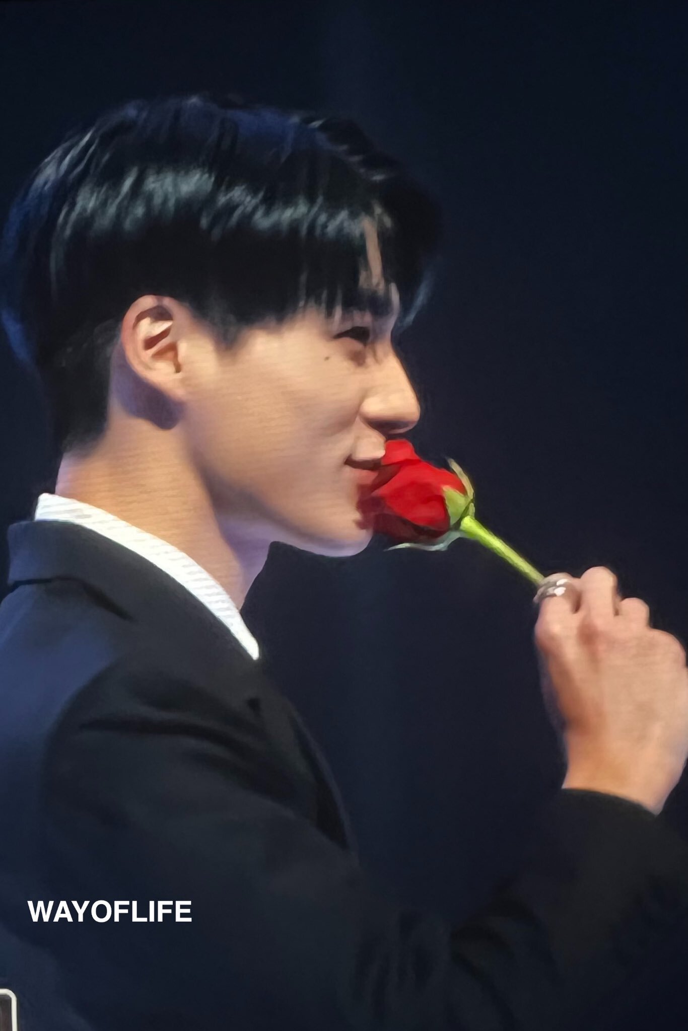 줄리엣 이미지