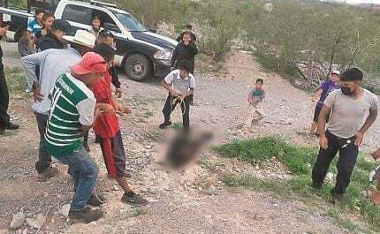 [포착] 물 마시러 내려온 아기곰의 최후...지켜보던 사람들은 웃었다 | 인스티즈