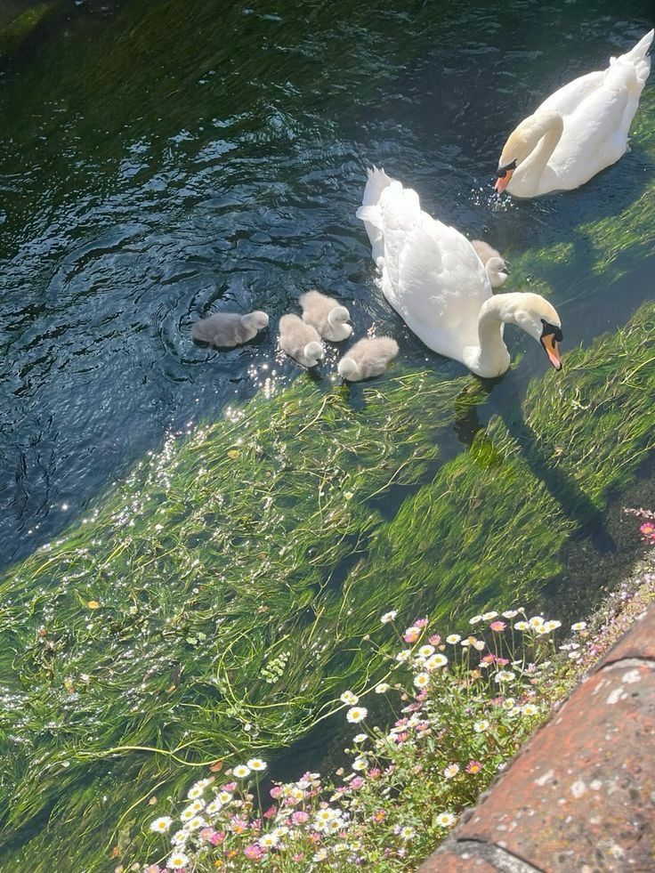진짜로 끝나버렸어 여름! | 인스티즈