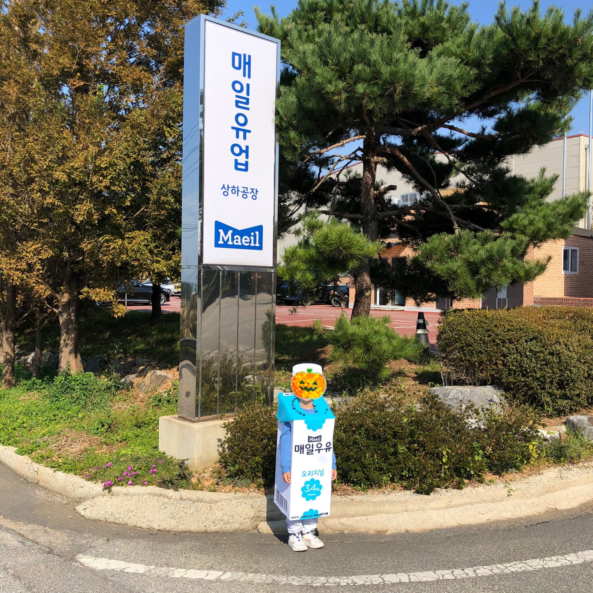 할로윈에 진심인 아빠를 가진 아이들 올해 근황.twt | 인스티즈