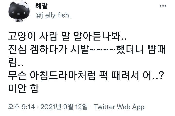 고양이 사람 말 알아듣나봐 | 인스티즈