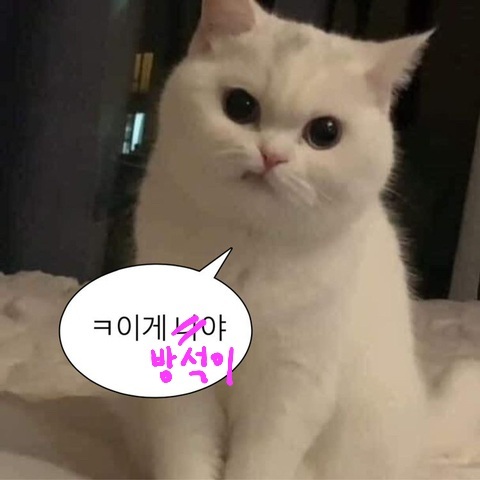 팬잘알이라는 한 아이돌 (feat. 방탄 슈가) | 인스티즈