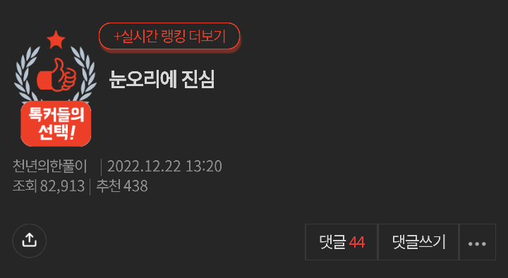 눈오리에 진심 | 인스티즈