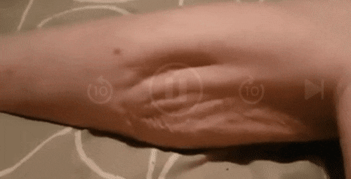 쥐 나본 적 없는 사람들이 가끔 오해하는 것.gif | 인스티즈