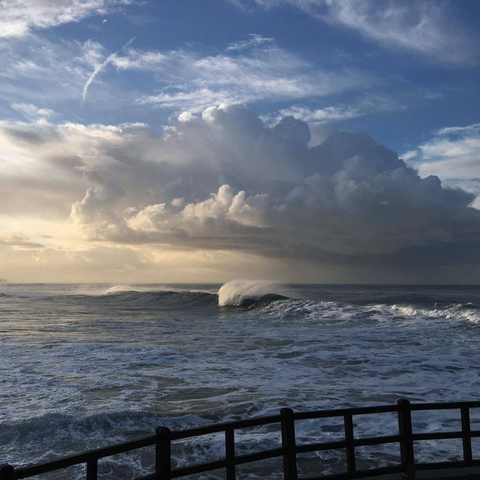 하와이는 정말 천국과 비슷하더군요. 그 바람과 햇빛의 느낌이 | 인스티즈