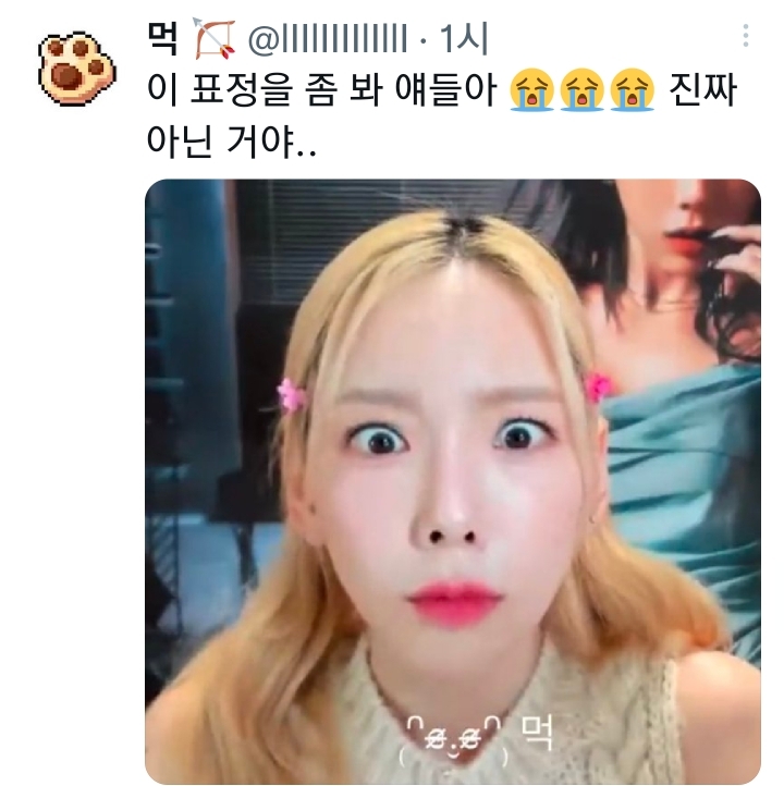 팬: 언니 인스타에 의미심장한 사진 올렸던데 우리 콘서트 해요? | 인스티즈