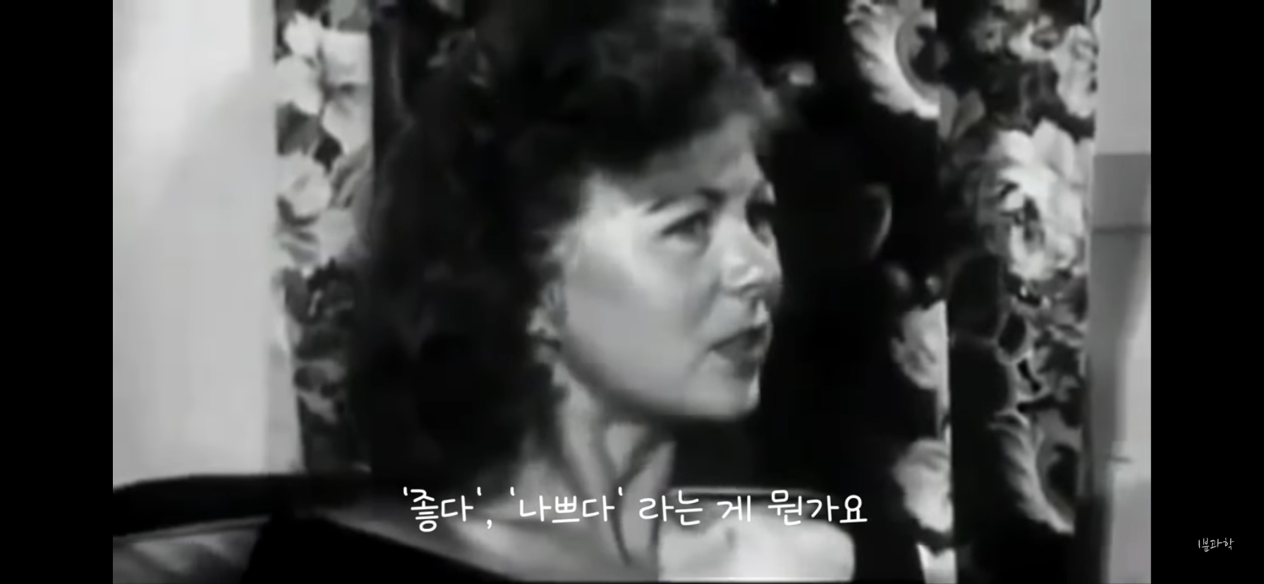 전세계에서 금지된 마약 | 인스티즈