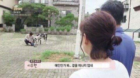 편견없는 대한민국 모음.jpg | 인스티즈