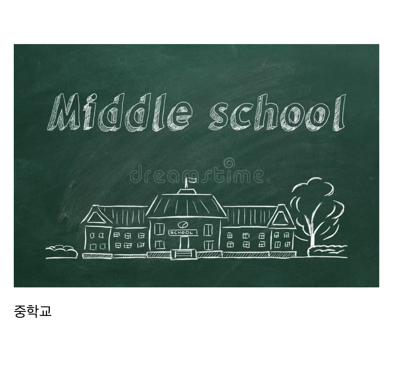 성인 되고 사람들마다 갈리는 것 | 인스티즈