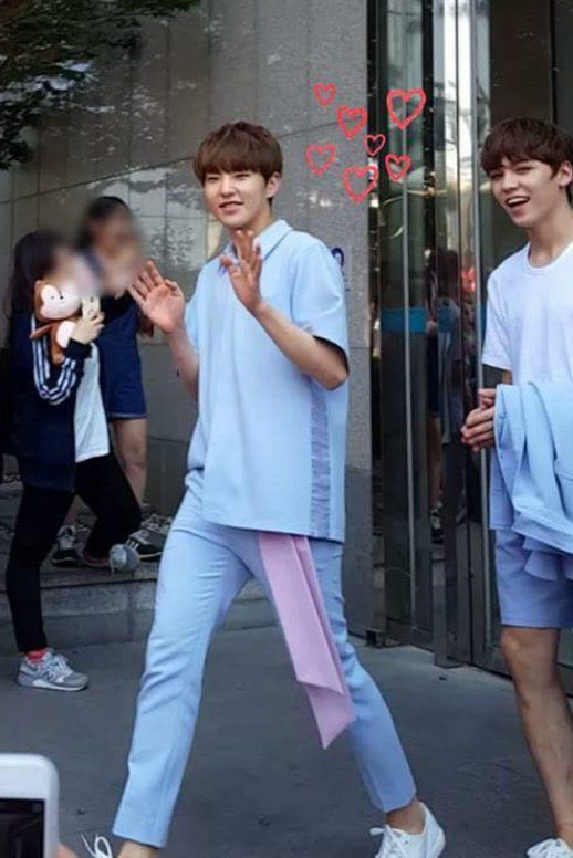 호시 이미지