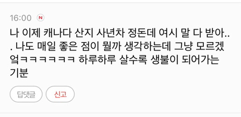 캐나다 이미지 메이킹 오지게 잘 되어있는 거 개박살내고 싶어서 찌는 글 | 인스티즈