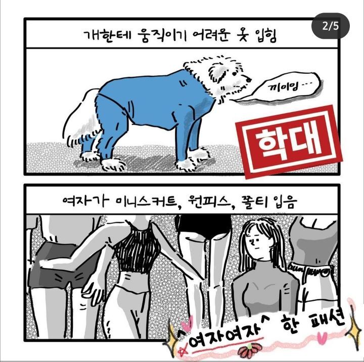 개vs여자 | 인스티즈