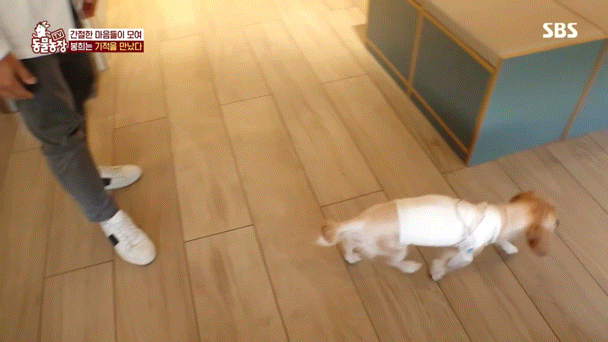 결국 80대 할머님을 울게 만든 방송국 제작진들..jpgif | 인스티즈