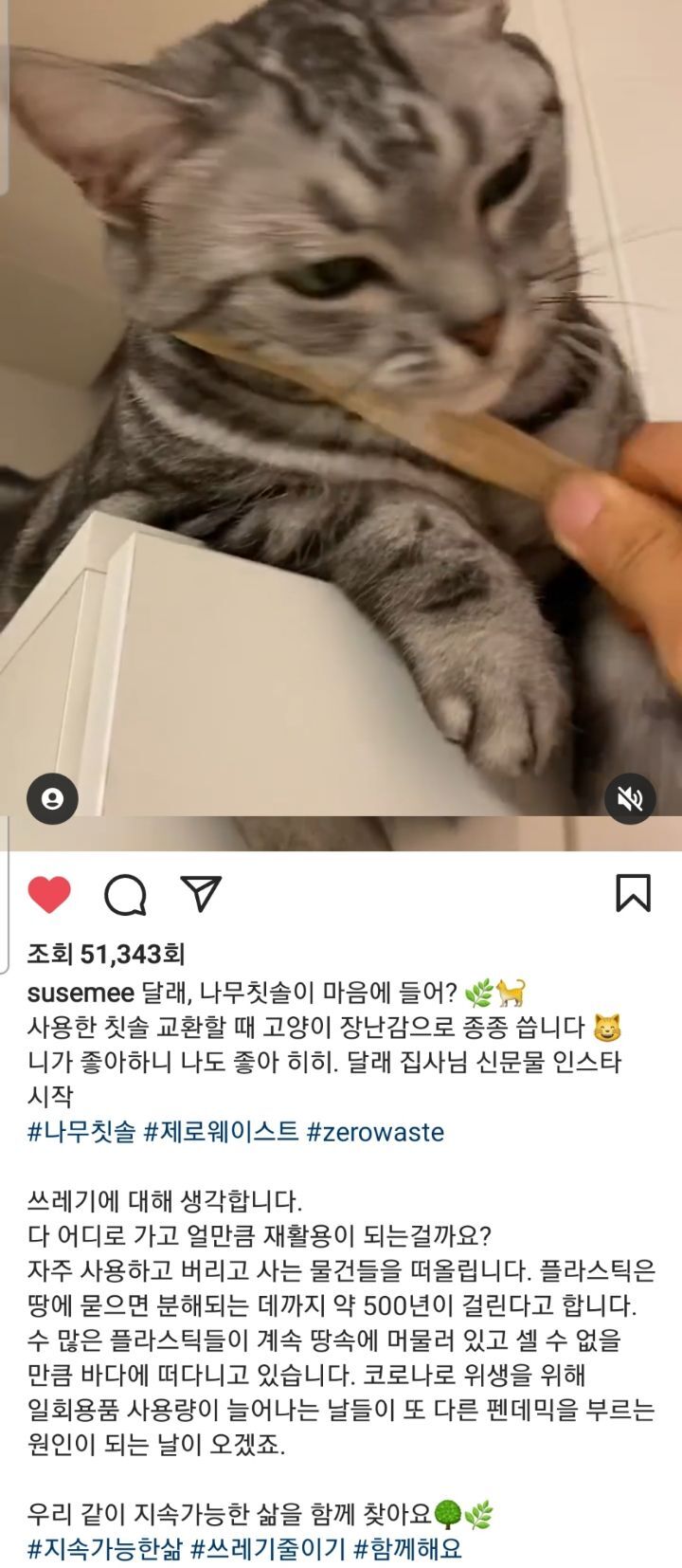 선한 영향력을 보여주는 배우 임세미의 인스타 피드 | 인스티즈