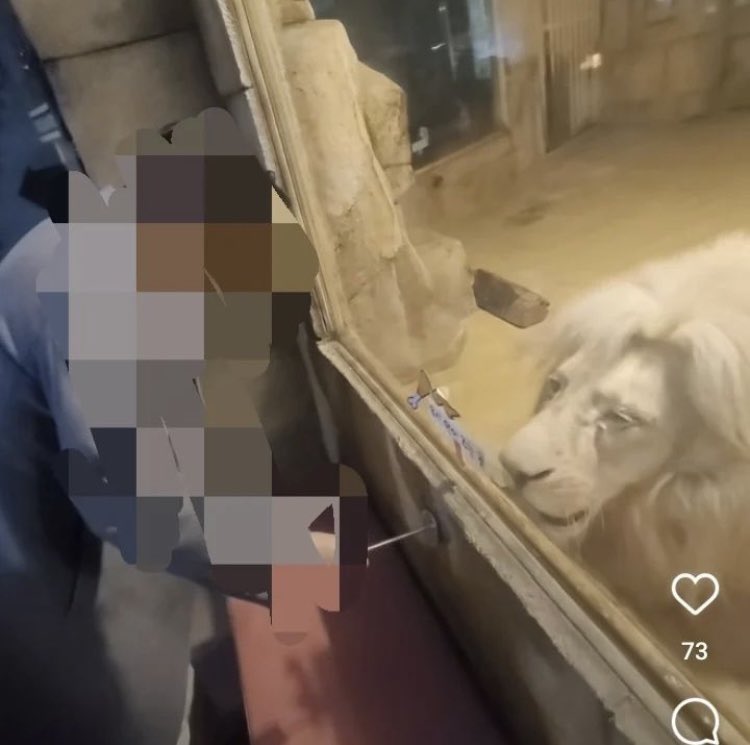 죄 없는 감옥같다는 실내 동물원 | 인스티즈