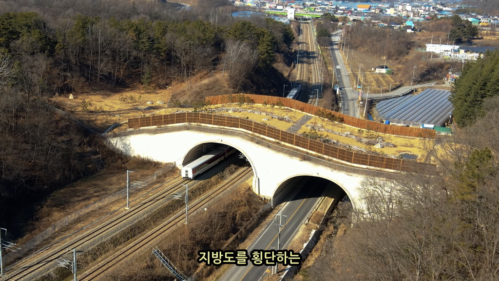 고속도로에 있는 생태통로 진짜 야생동물이 다닐까? | 인스티즈