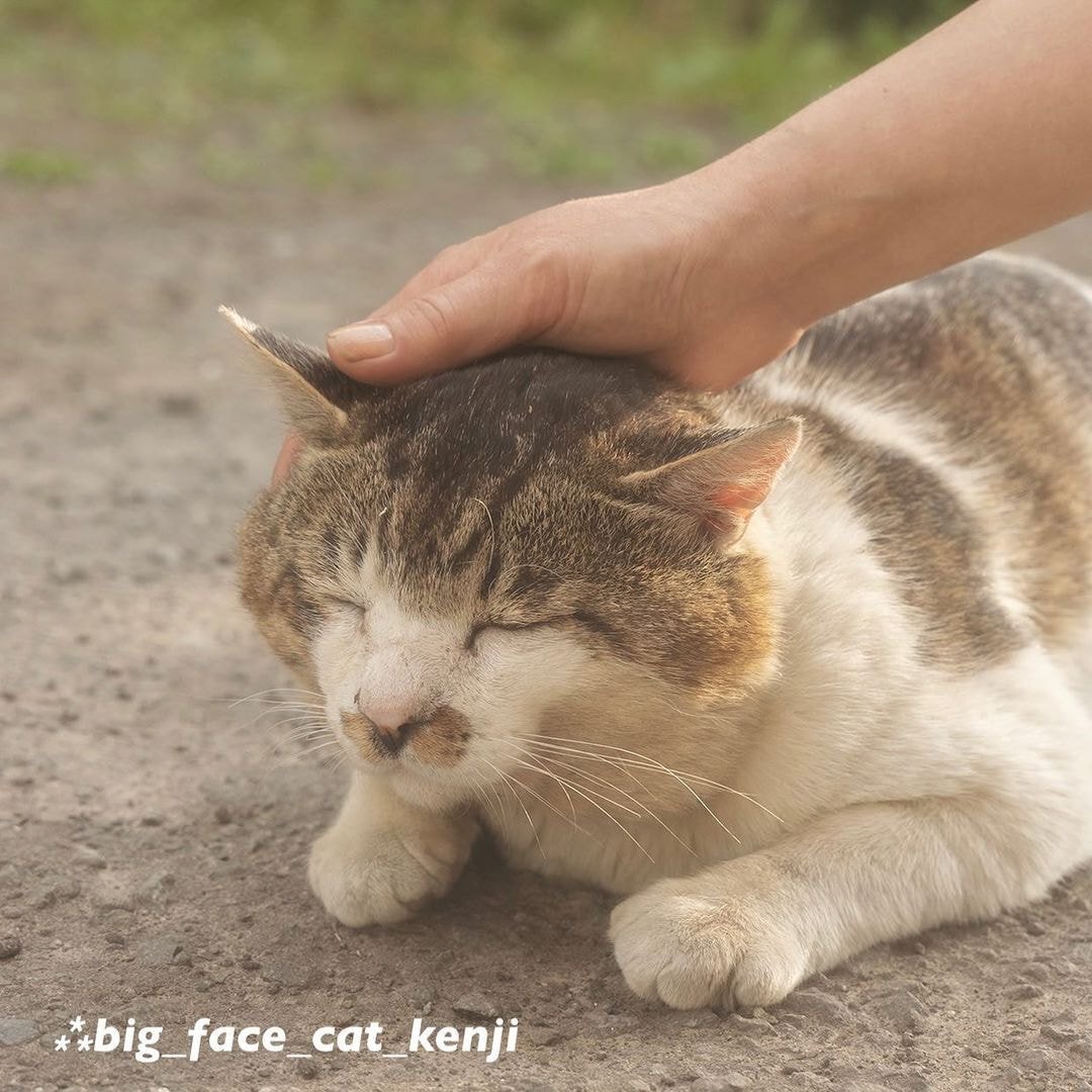 대두라고 불리는 아이 | 인스티즈