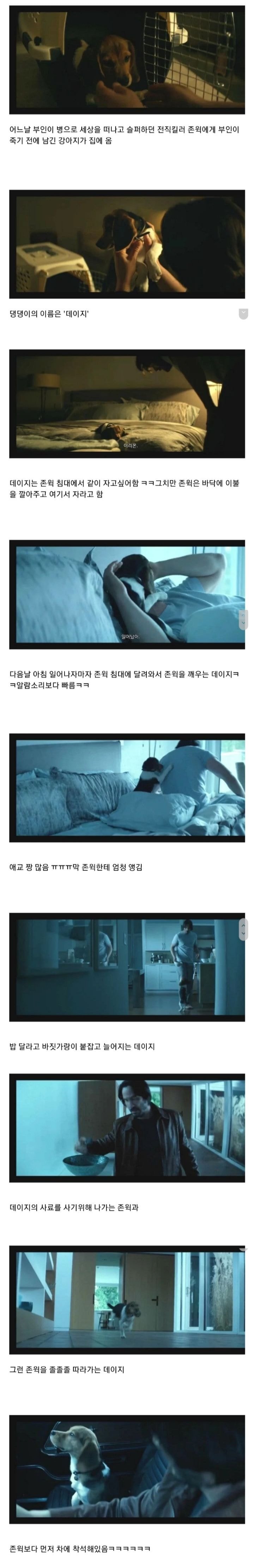 반려견 죽인새끼한테 복수하려고 사람 100명 죽이는 영화 | 인스티즈